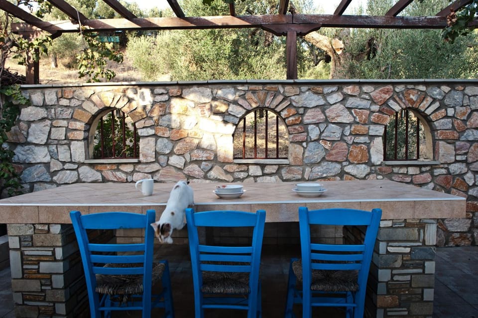 BBQ facilities