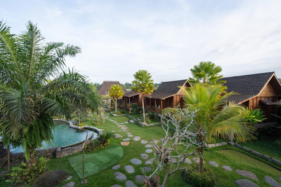 Spring, Garden, Garden view, Pool view, Swimming pool