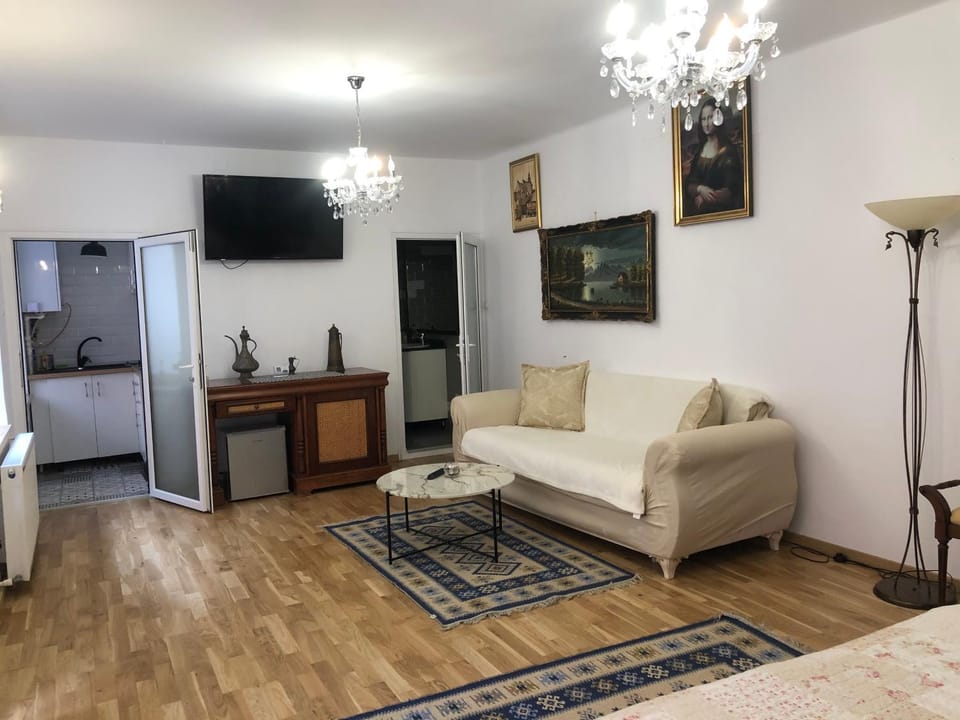 STUDIO RICHARD Apartment in Brasov