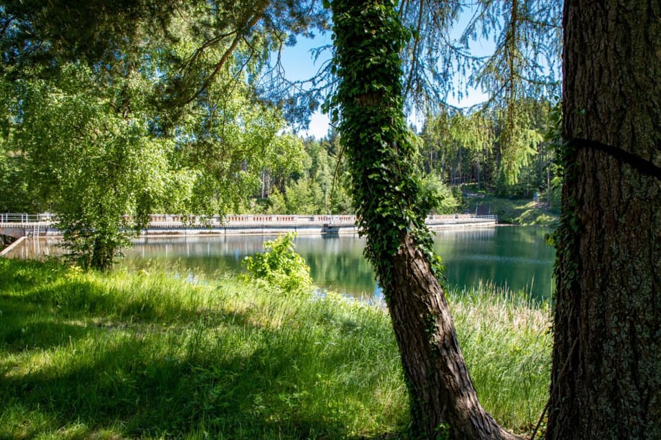 Ferienwohnungen Haus am See Apartment in Thuringia, Germany