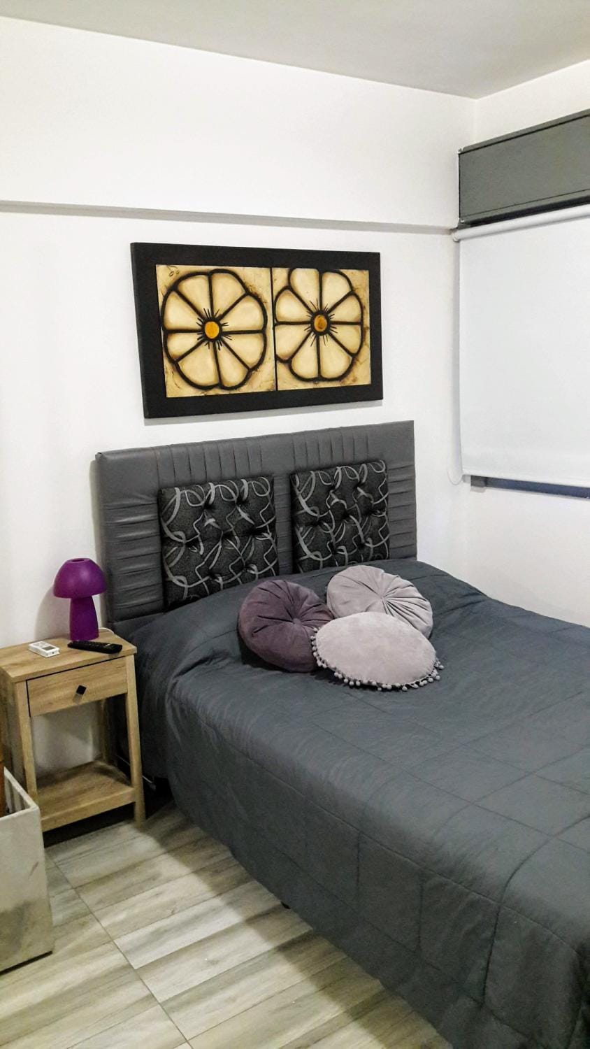 Apartamento Syrah -Céntrico- Apartment in Mendoza