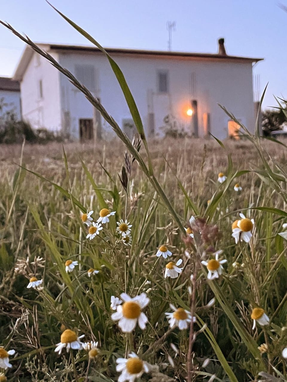 La Casa Degli Artisti Bed and Breakfast in Marche
