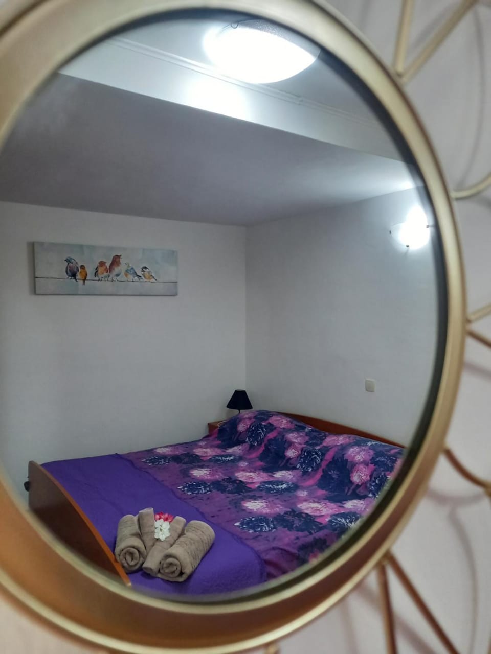 LOZA-holiday home,kuca za odmor Apartment in Šibenik-Knin County, Croatia