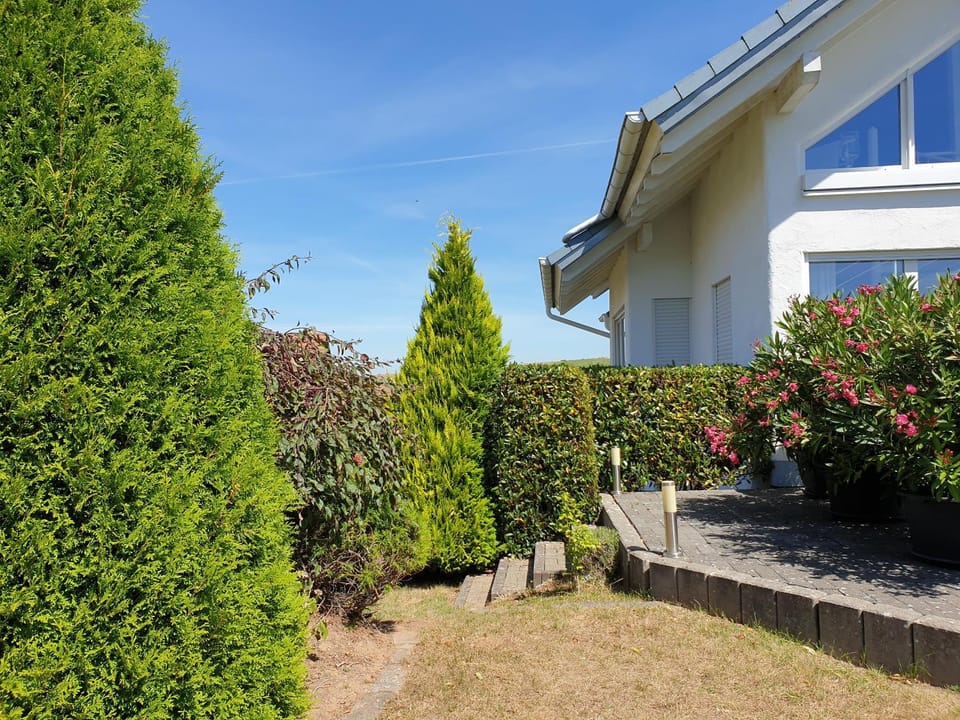 Property building, Garden