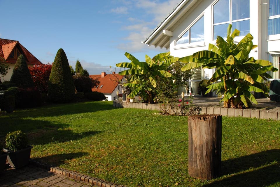 Property building, Garden