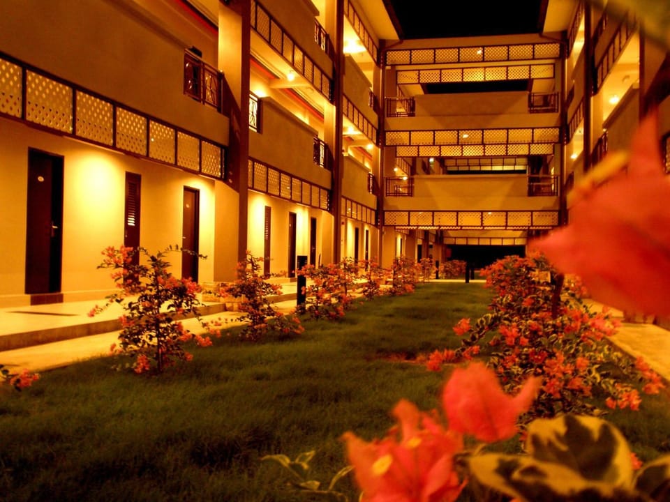Night, Garden