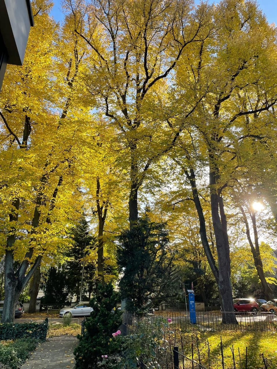 ApartHotel Stadtpark Bed and Breakfast in Lubeck