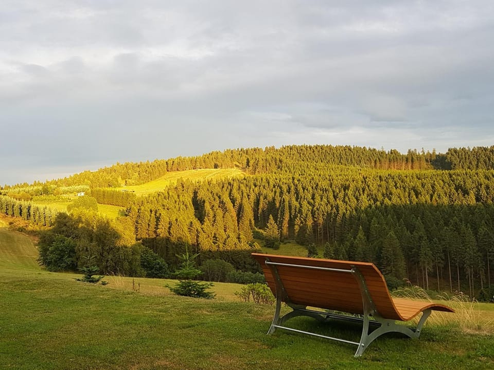 Natural landscape