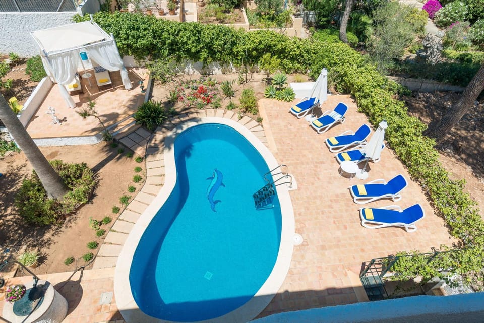 Off site, Bird's eye view, Pool view
