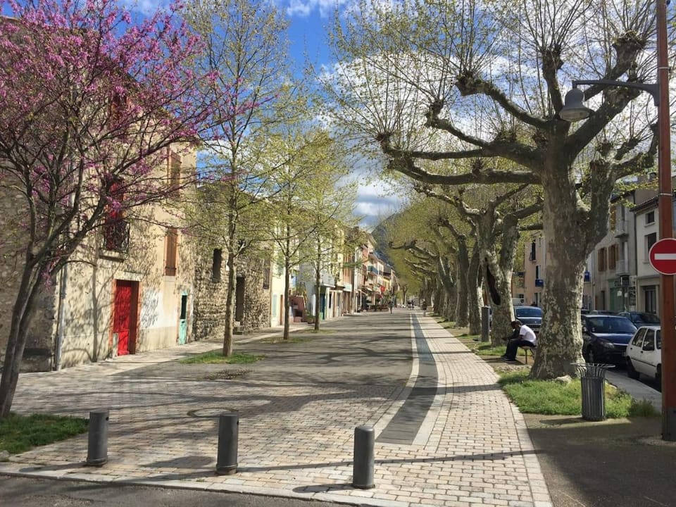 Modern Boulangerie, large 6 bedroom village house House in Occitanie
