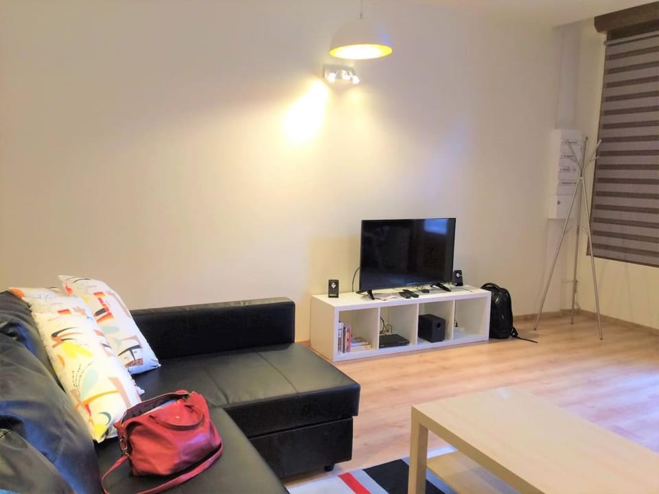 Modern Boulangerie, large 6 bedroom village house House in Occitanie