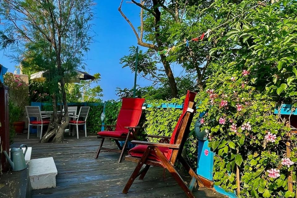 Patio, Day, Garden, Dining area, Garden view