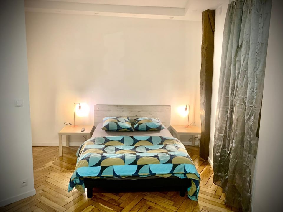 9M en plein centre de Lyon visite à pied Apartment in Lyon