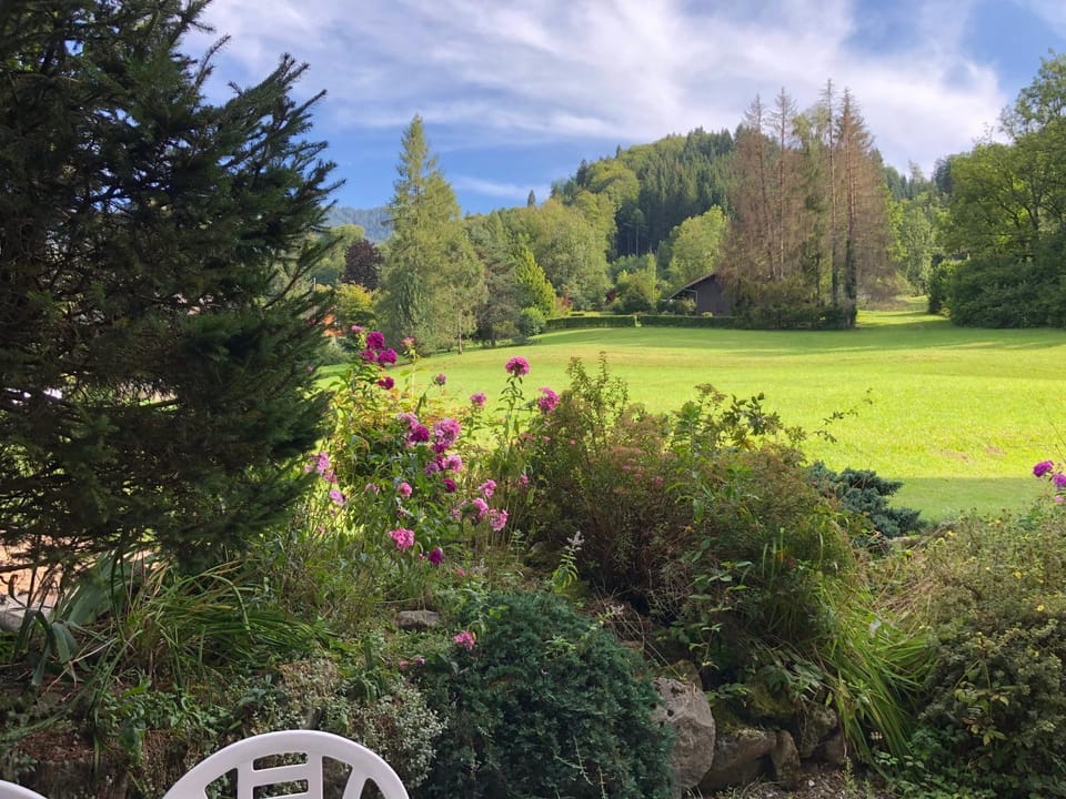 Patio, Natural landscape, Garden view