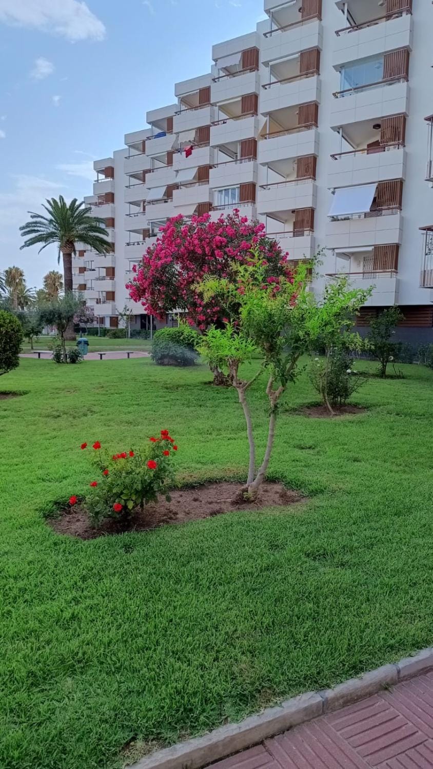 Apartamento F&P primera línea de mar. Apartment in Salou