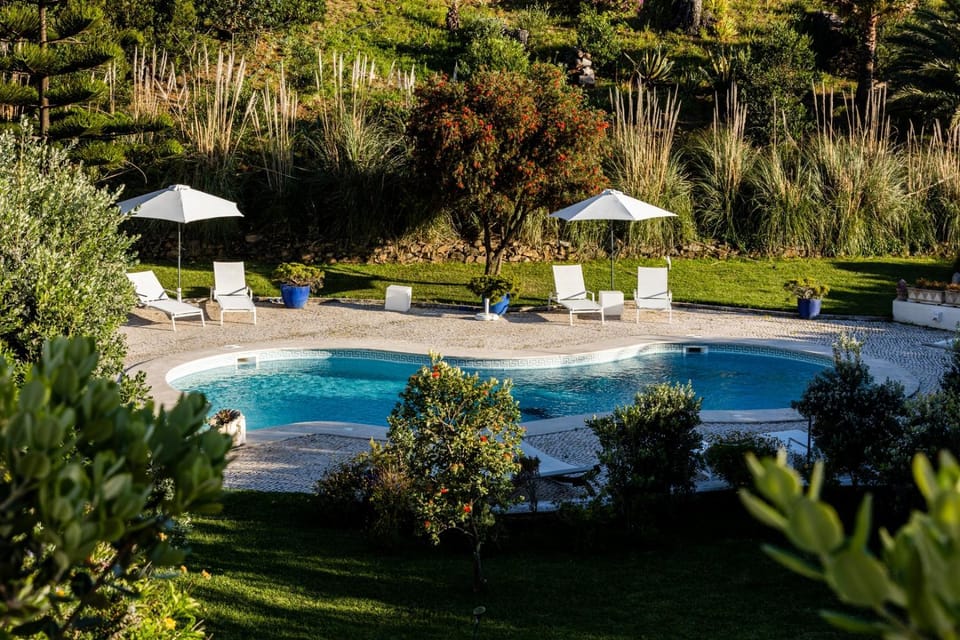 Pool view, Swimming pool, Swimming pool, sunbed