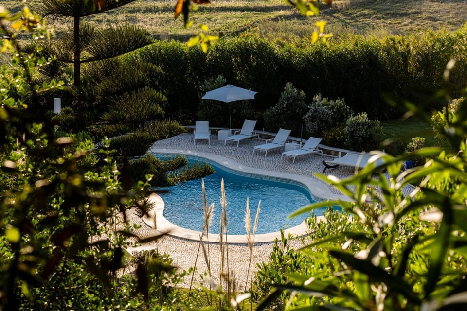 Pool view, Swimming pool, Swimming pool, sunbed