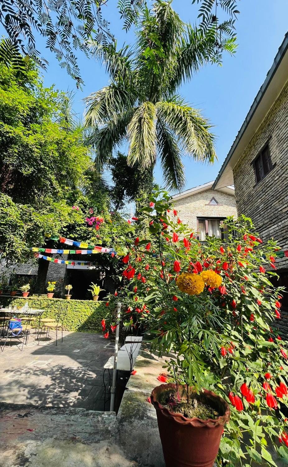 Garden view