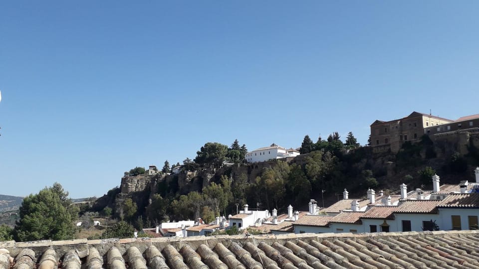 View (from property/room)