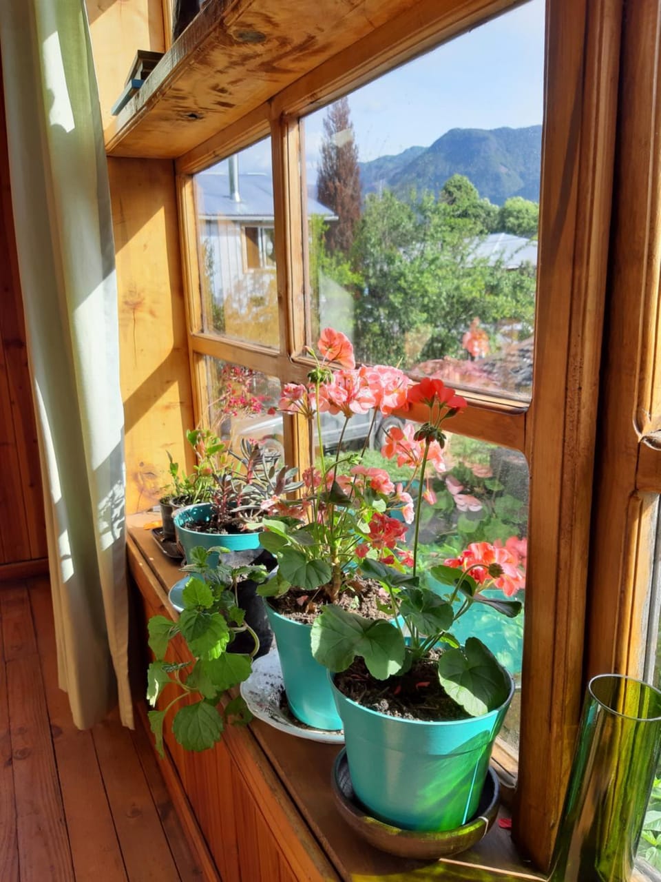 Hostal La Casa del Carpintero Hotel in Los Ríos, Chile