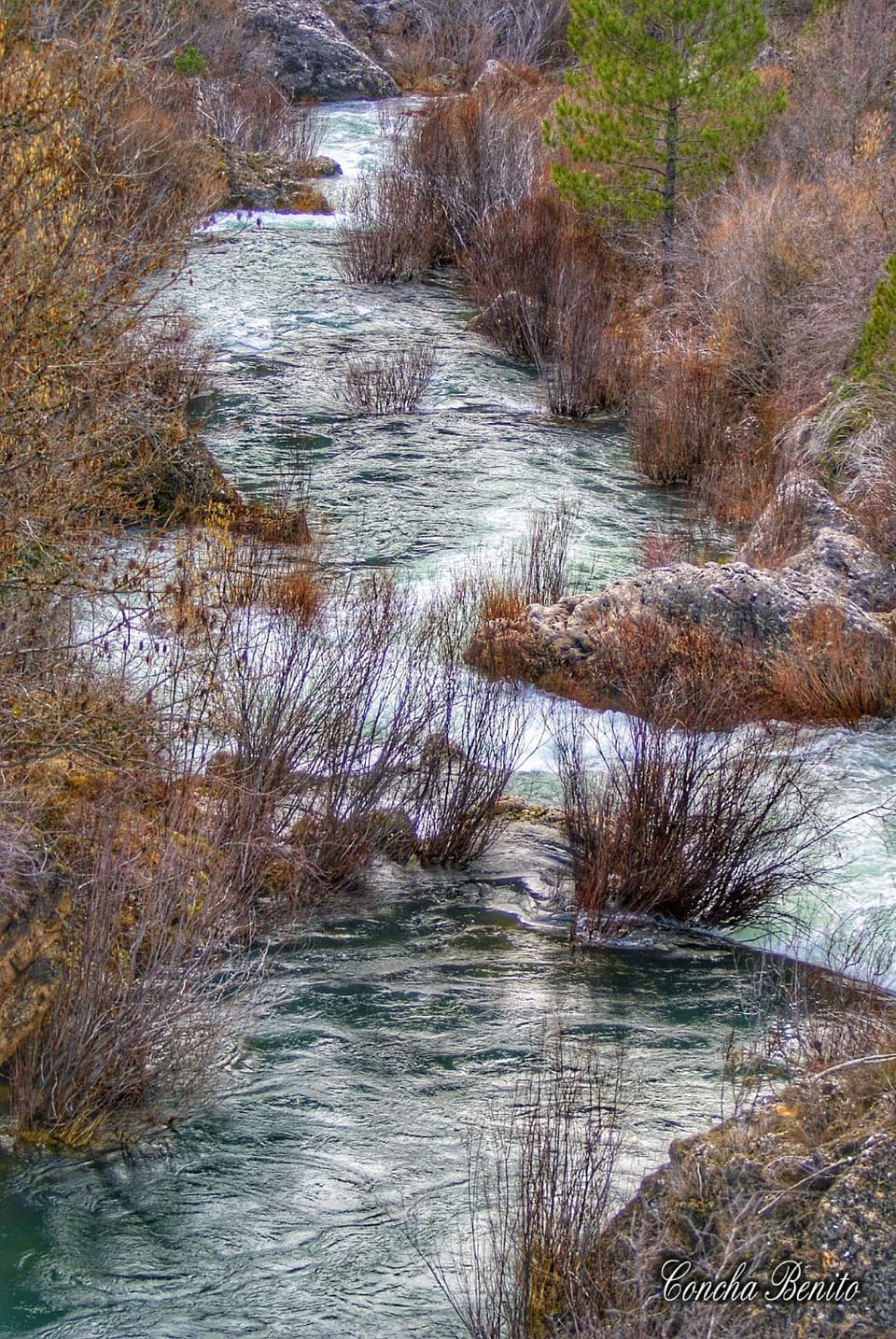 Natural landscape