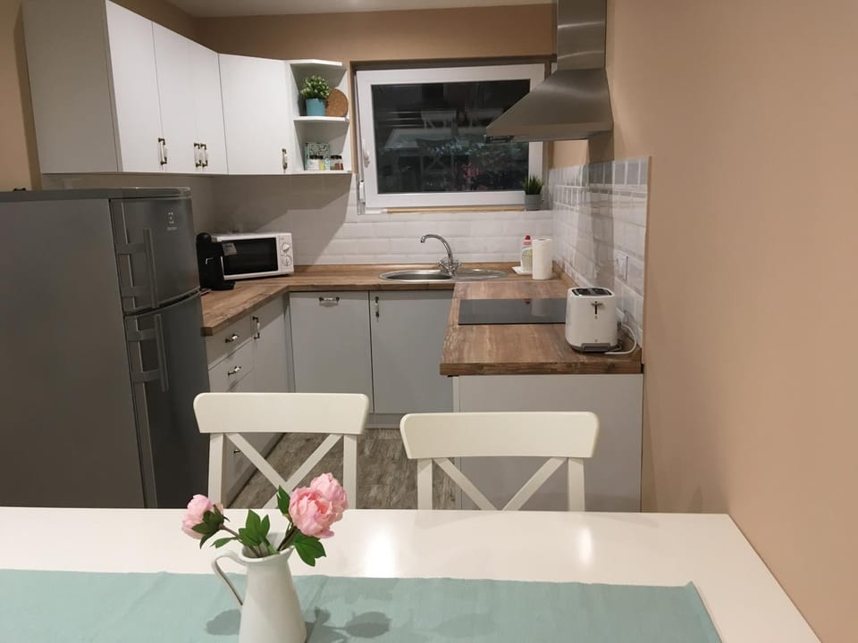 Tisza Dream Apartman House in Hungary