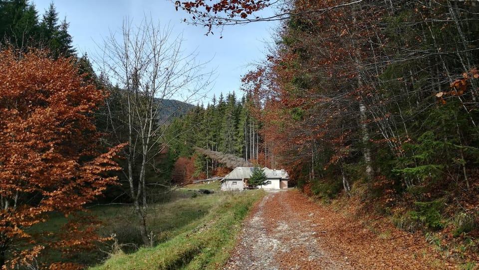 Cabana Pietricica Chalet in Brașov County