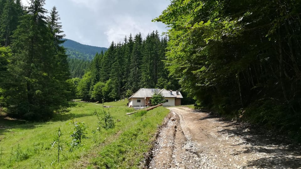 Cabana Pietricica Chalet in Brașov County