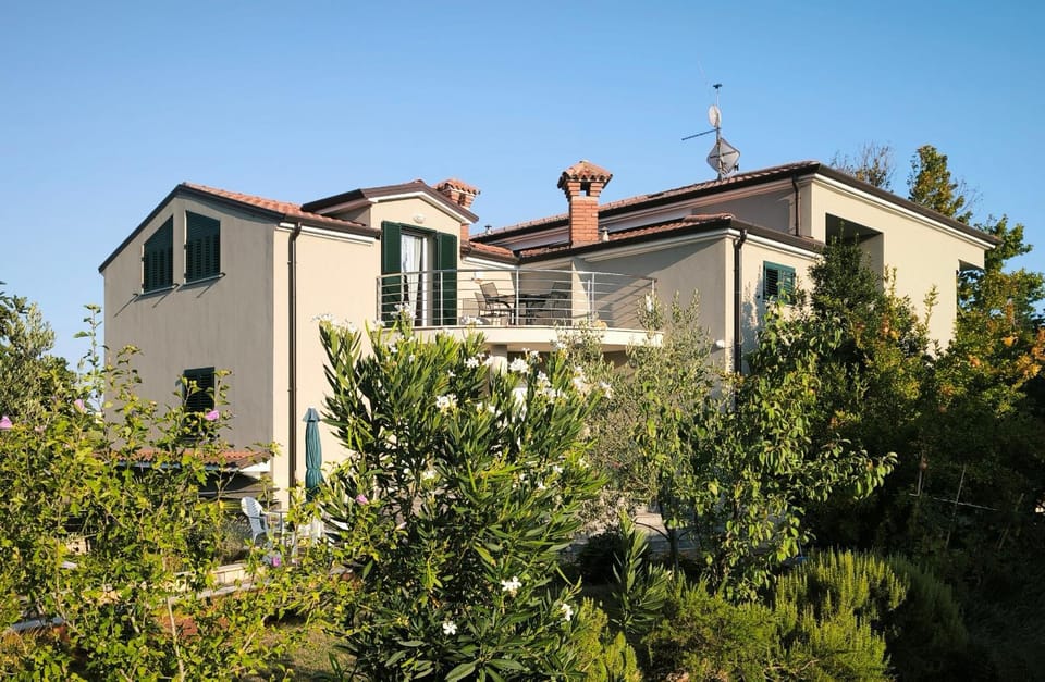 Property building, Garden view