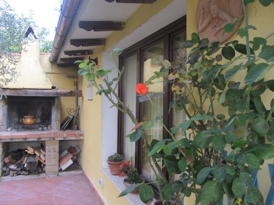 Inner courtyard view