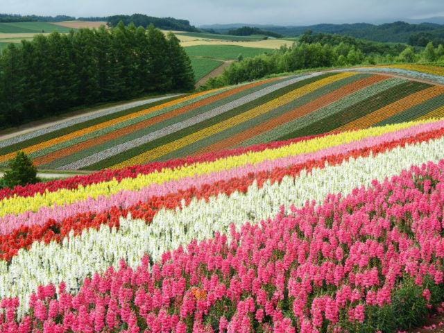 Natural landscape
