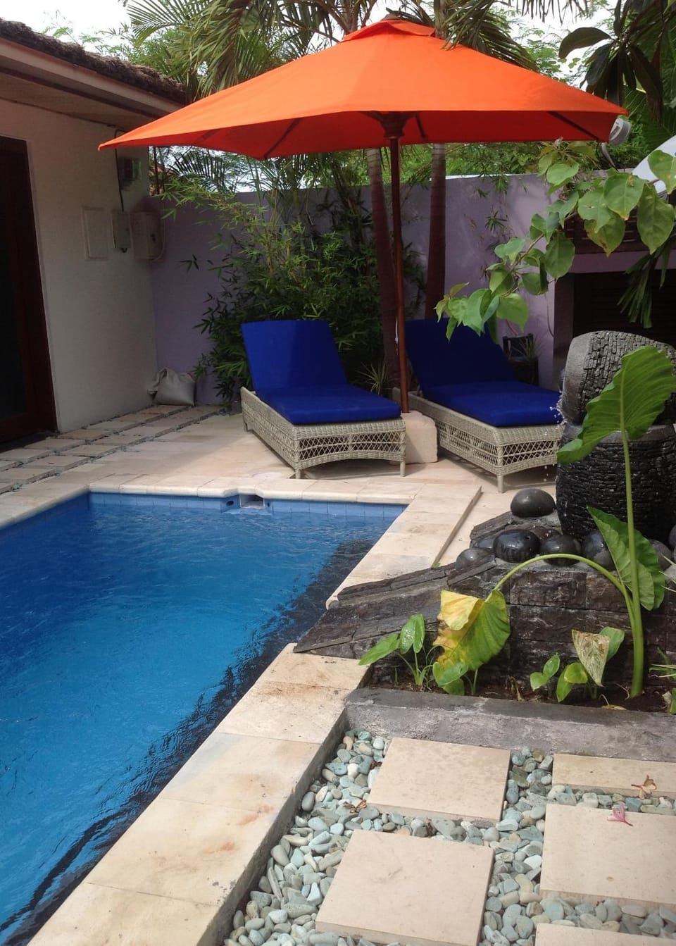 Garden, Swimming pool