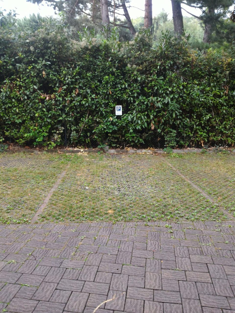 Il Gelsomino Apartment in Como