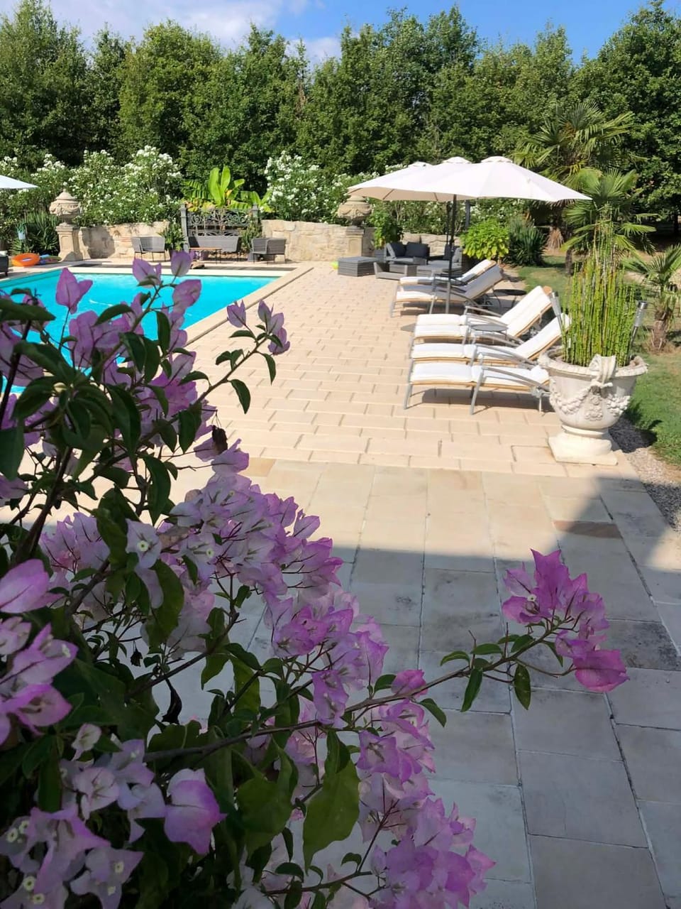 Swimming pool, sunbed