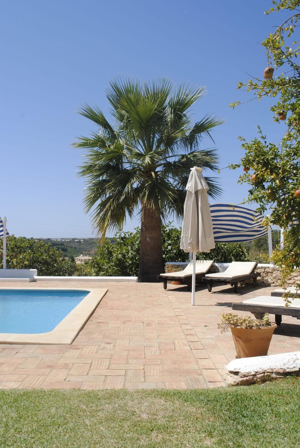 Garden, Swimming pool