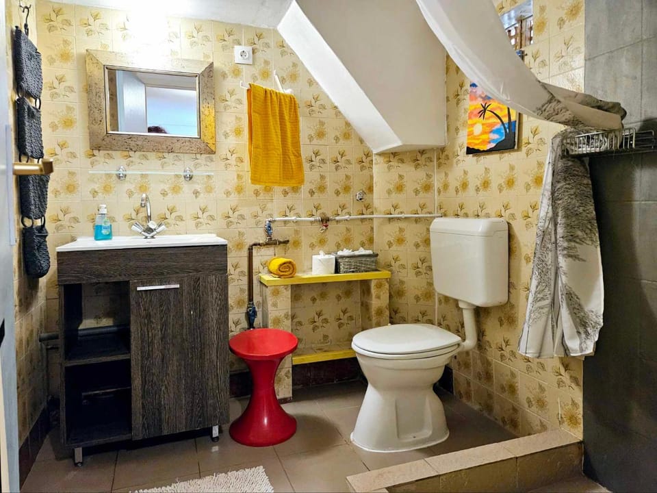 Shower, Toilet