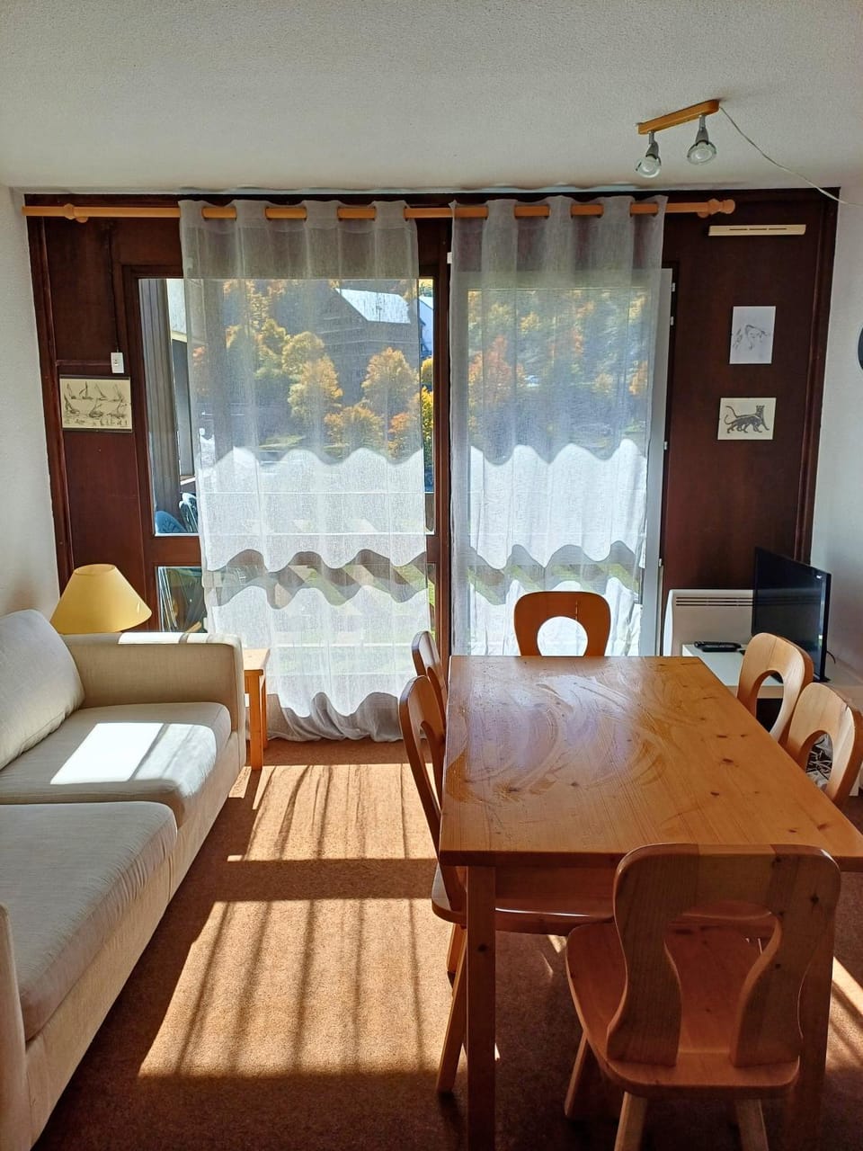 Balcony/Terrace, Living room, furniture