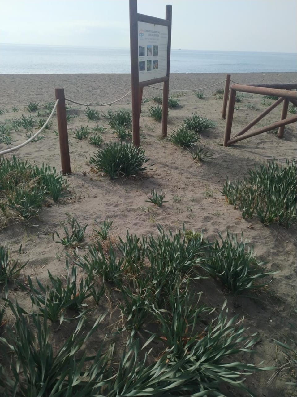 Property logo or sign, Beach