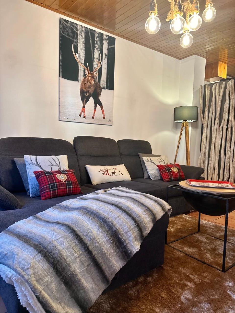 Duplex a la plaça Major Apartment in Alta Ribagorça