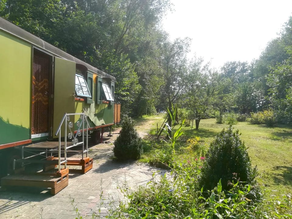 Property building, Patio, Facade/entrance, Garden