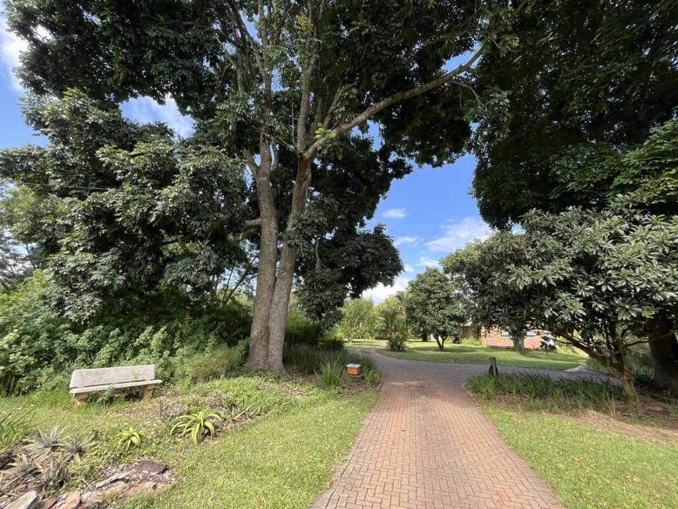 Facade/entrance, Garden