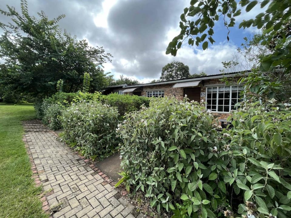 Property building, Facade/entrance, Garden