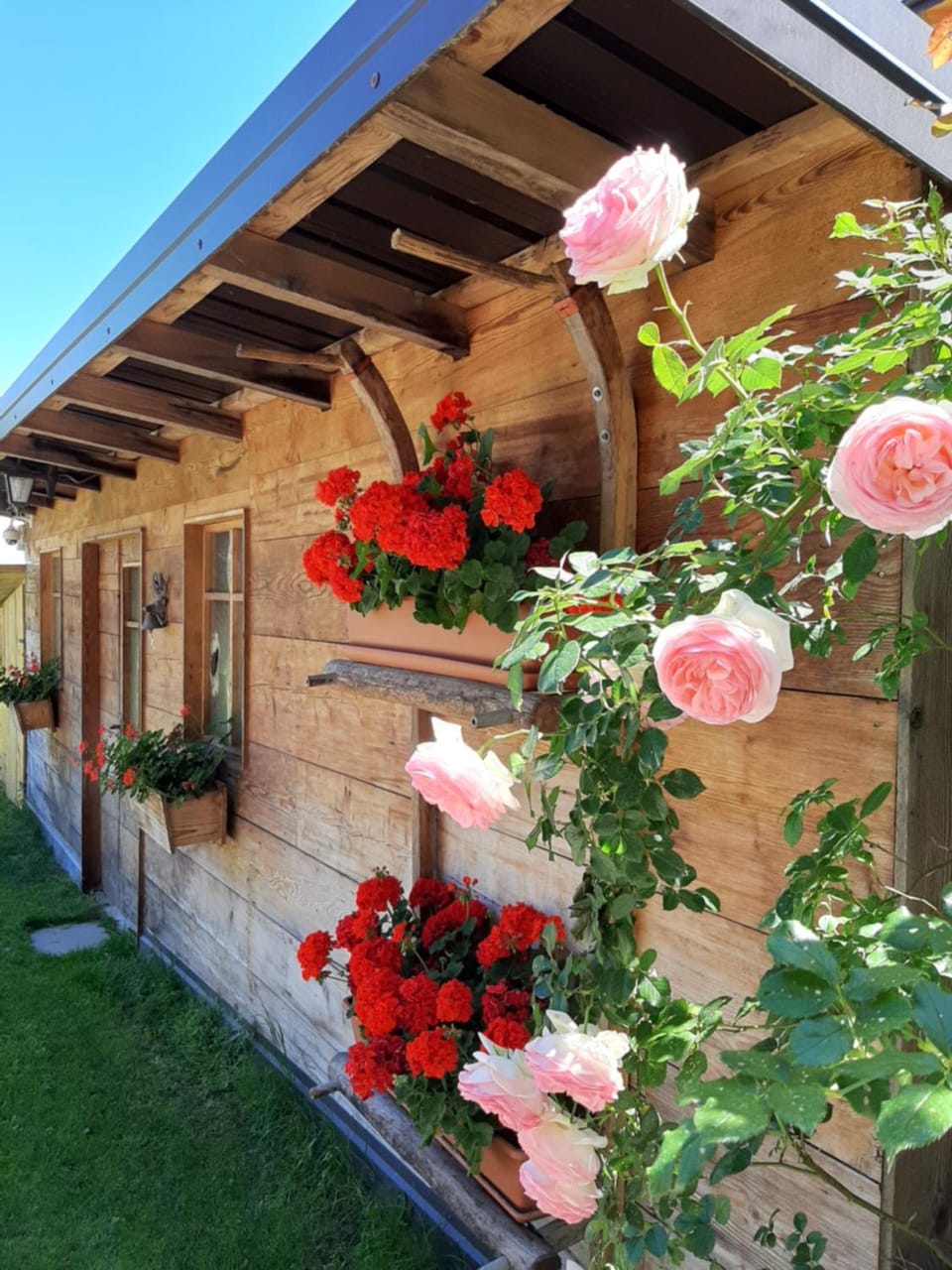 Appartamento per vacanze "IL GELSO" Apartment in Trentino-South Tyrol