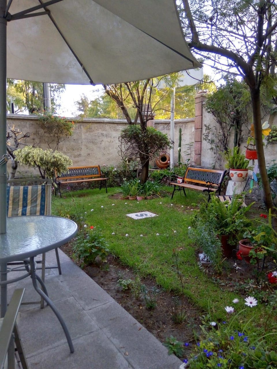 Garden