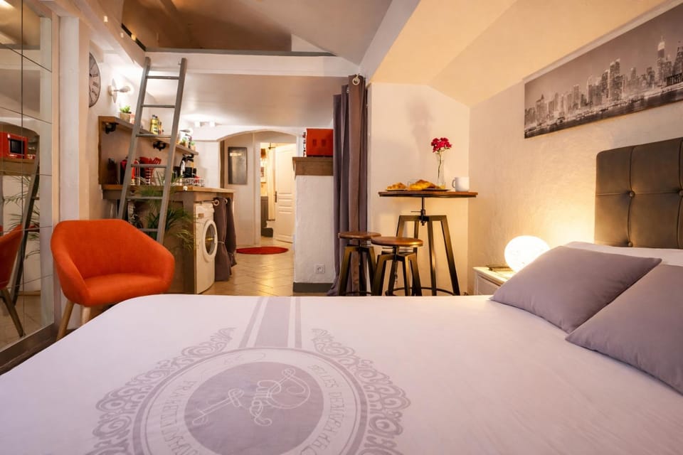 Studio atypique, CLIMATISATION, Lit 160 x 200, Netflix, parking, 500m centre - Gîtes La Tarine - LABEL GÎTE DE FRANCE Apartment in Auvergne-Rhône-Alpes