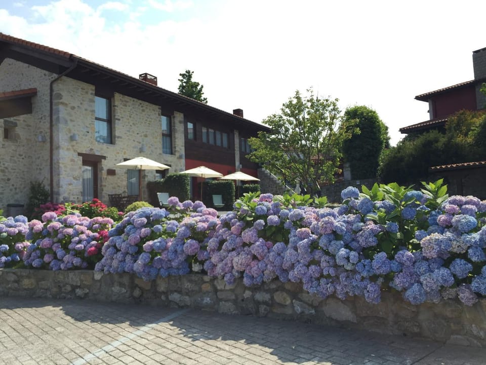 Garden, Garden view