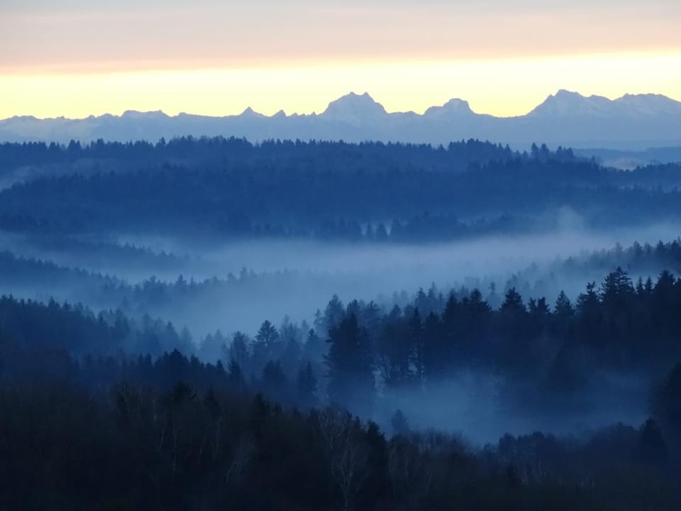 Mountain view
