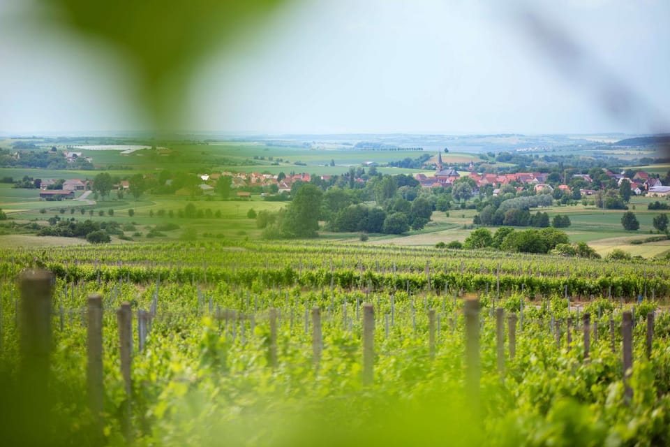 Neighbourhood, Natural landscape, Hiking