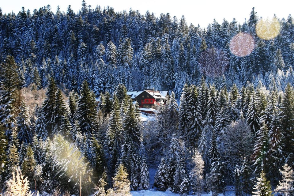 Property building, Natural landscape, Winter, Mountain view