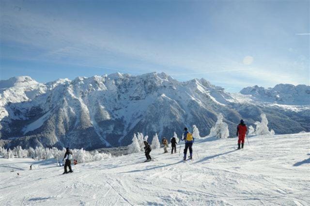 Winter, Ski School, Sports